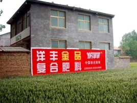 思南如何让墙体广告展现最大化效果