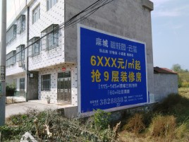 思南墙体广告质量分析