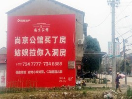 思南墙体广告在乡镇、农村市场的媒体优势